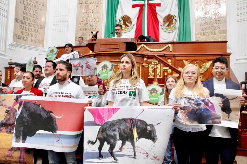 Entra hoy en vigor el decreto para las corridas de toros sin violencia en la CDMX