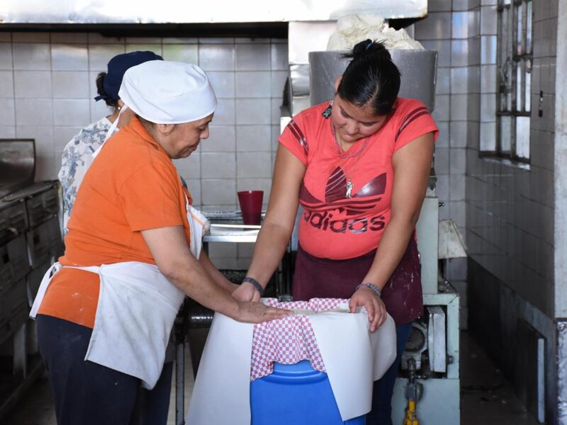 Equidad de Género Michoacán: Avances Significativos 1