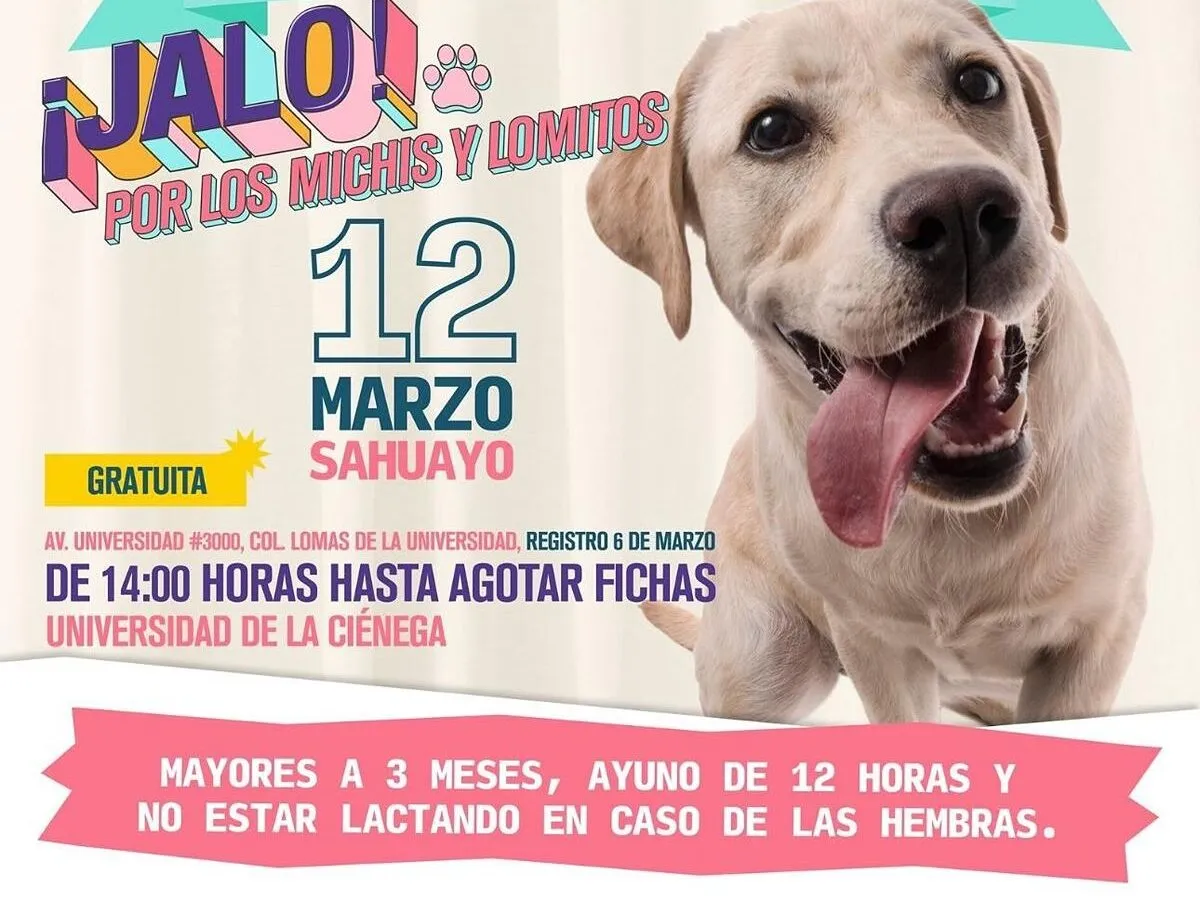 Esterilización gratuita de animales en Sahuayo