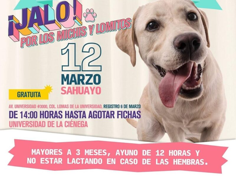 Esterilización gratuita de animales en Sahuayo
