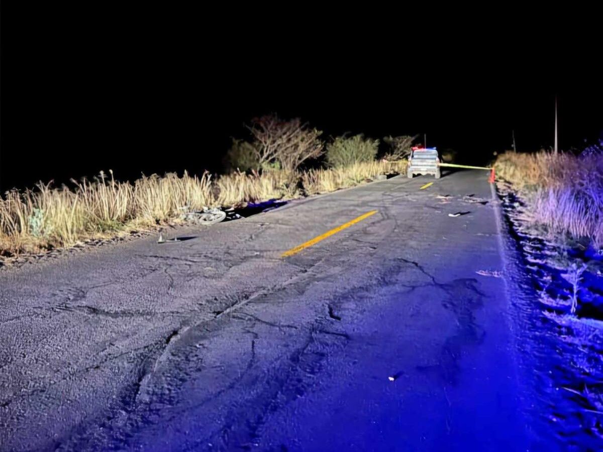 Muere motociclista tras chocar contra una vaca