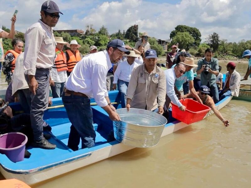 Pátzcuaro: proceso para lograr denominación de origen del pez blanco