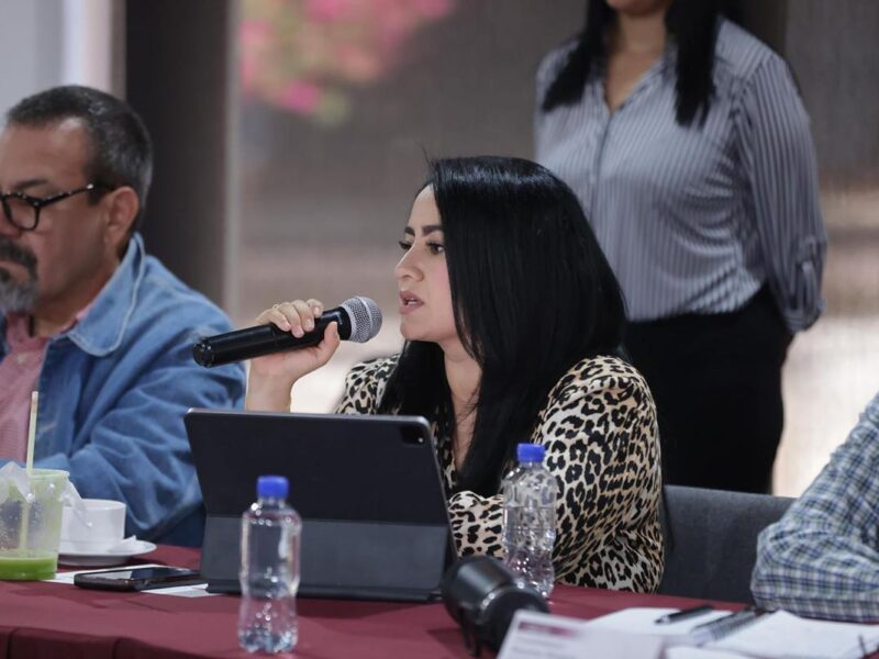Sedum fortalece a Hidalgo en gestión territorial: Gladyz Butanda