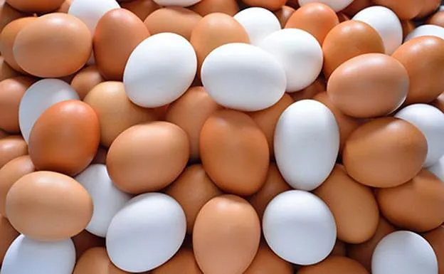 Tráfico de huevos: nueva alerta en frontera de EU