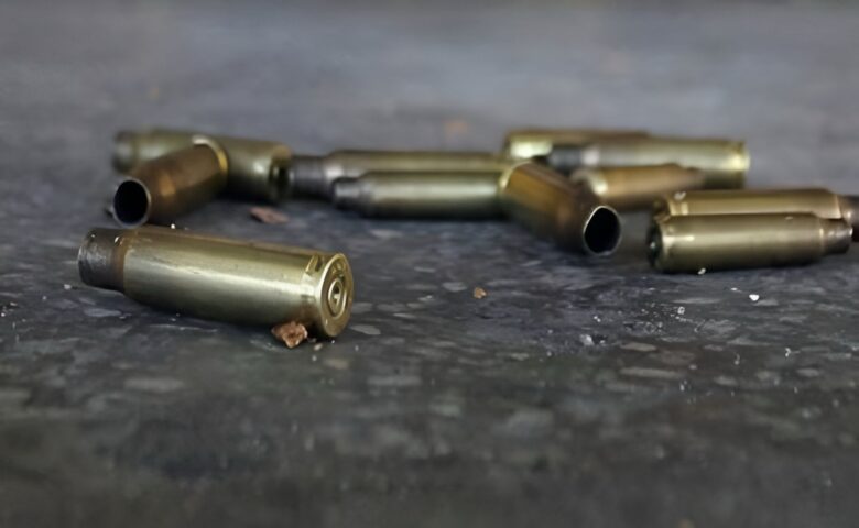 Enfrentamiento en Múgica, Michoacán: Policía abate a cuatro presuntos delincuentes tras intento de agresión