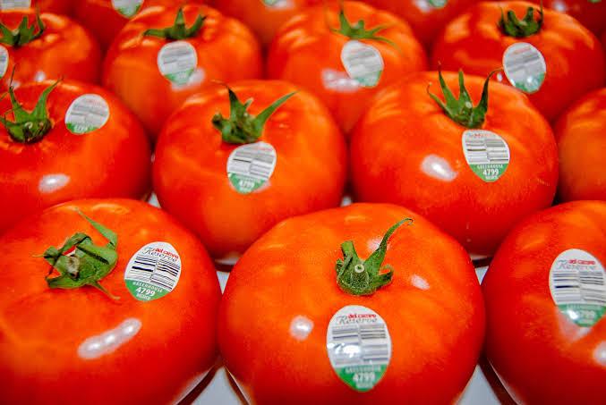 Arancel al jitomate sacude a agricultores de Sonora