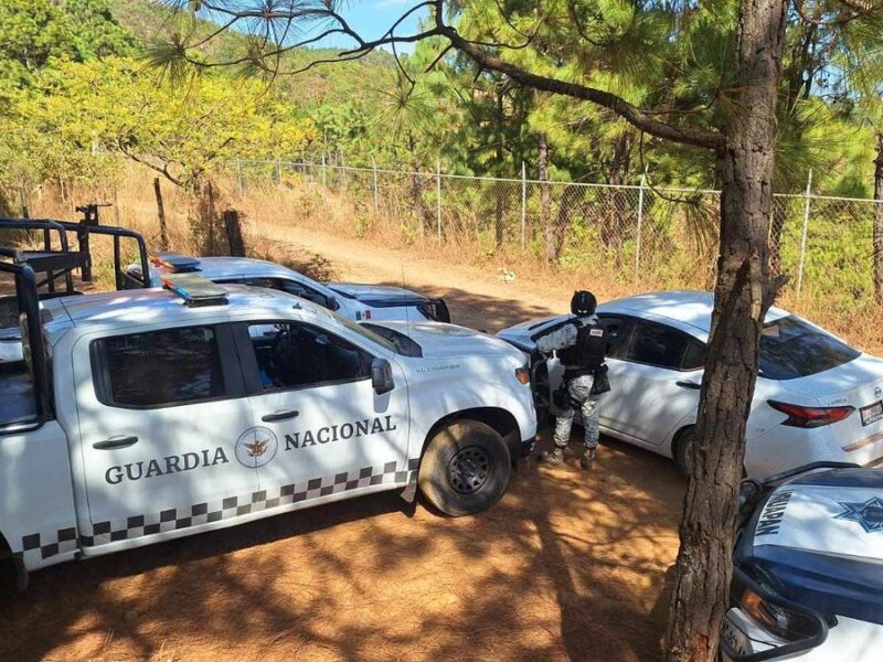 Atrapan a robacarros en Caltzontzin