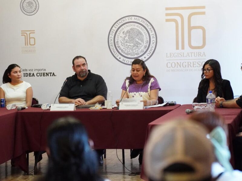 Belinda Iturbide trabaja en iniciativas de reformas con colectivos