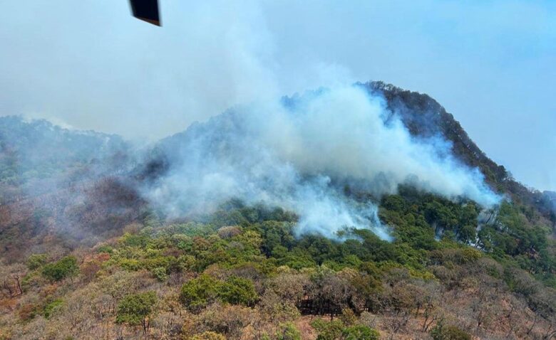 Brigadas continúan combatiendo incendio en Nocupétaro: Cofom