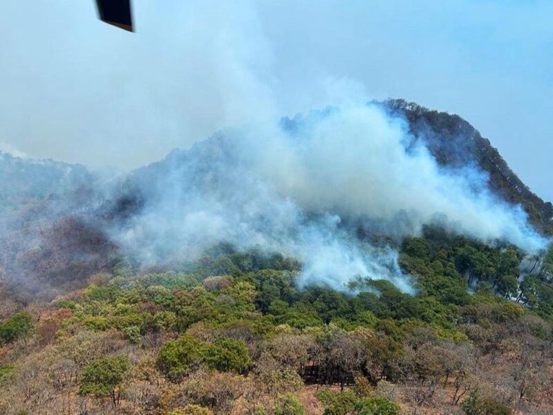 Brigadas continúan combatiendo incendio en Nocupétaro: Cofom