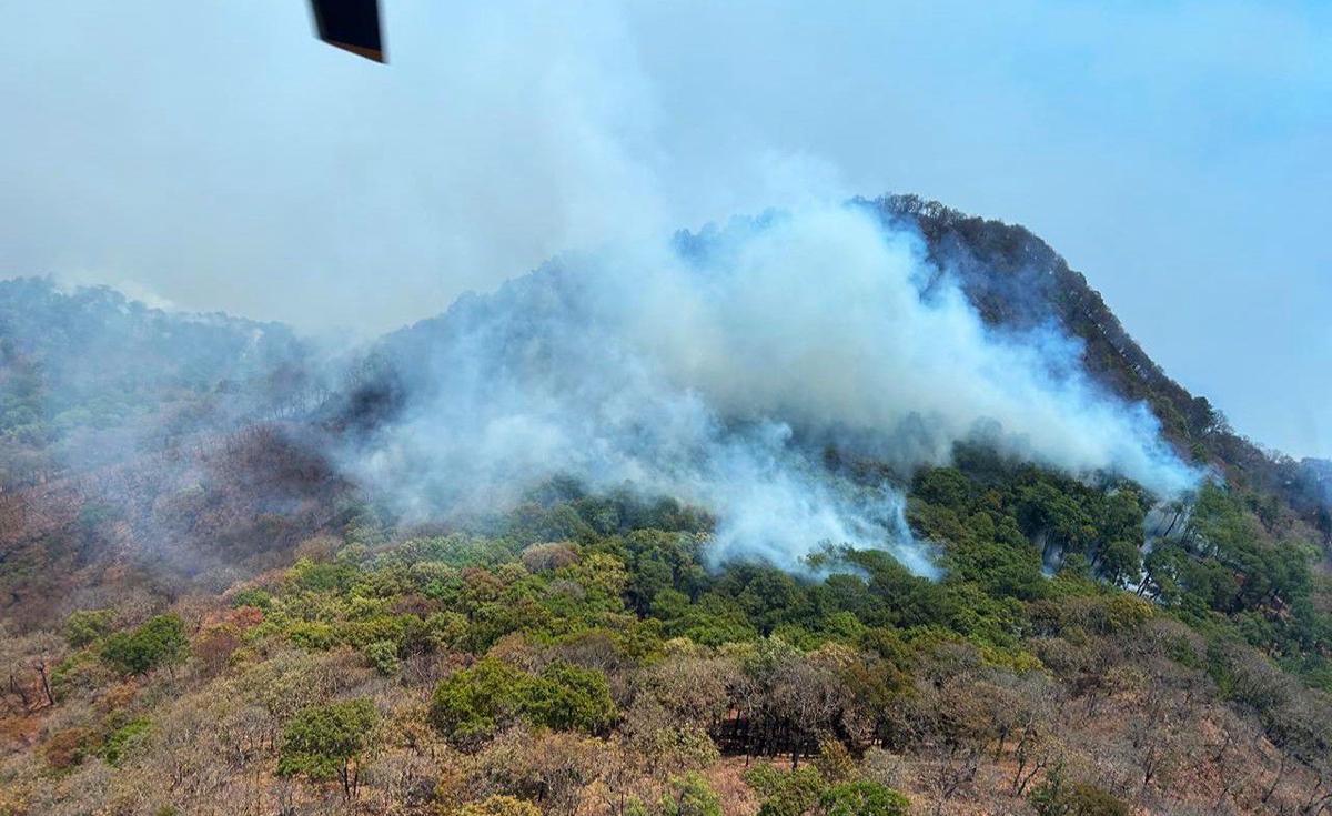 Brigadas continúan combatiendo incendio en Nocupétaro: Cofom
