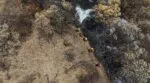 Brigadistas extinguen y controlan 6 incendios forestales en Michoacán