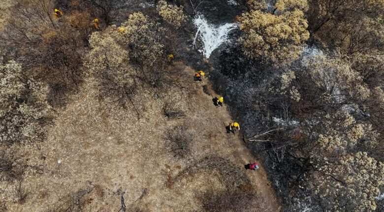 Brigadistas controlan incendios forestales en Michoacán