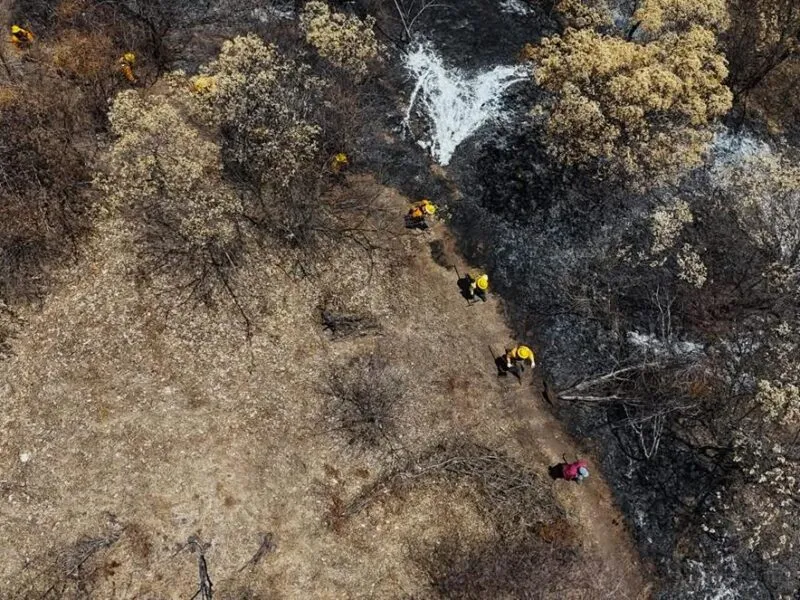 Brigadistas controlan incendios forestales en Michoacán