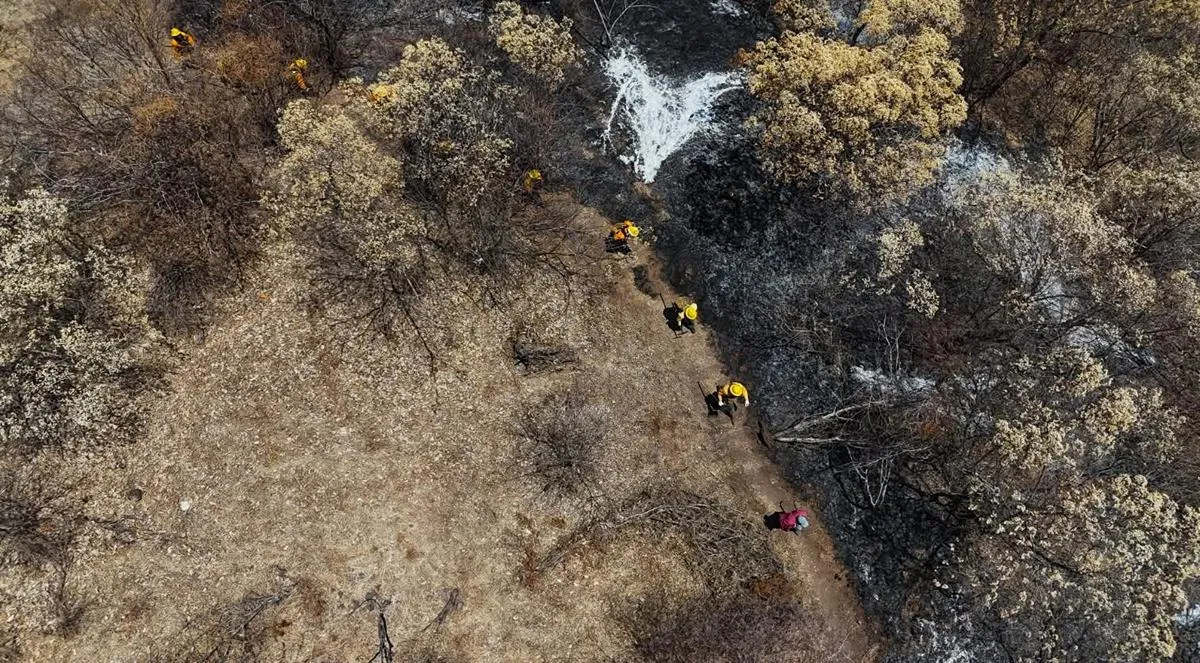 Brigadistas controlan incendios forestales en Michoacán