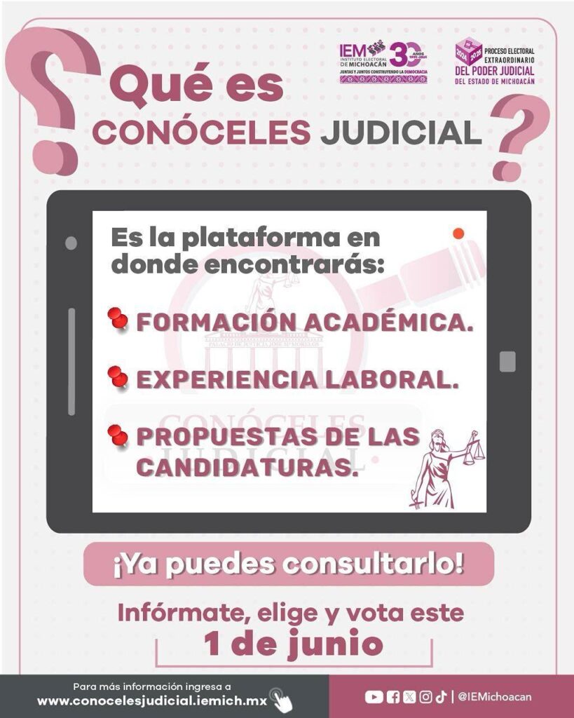 Consulta perfiles candidatos judiciales en Michoacán-2