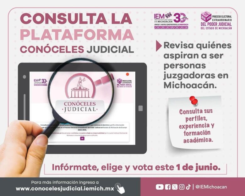 Consulta perfiles candidatos judiciales en Michoacán