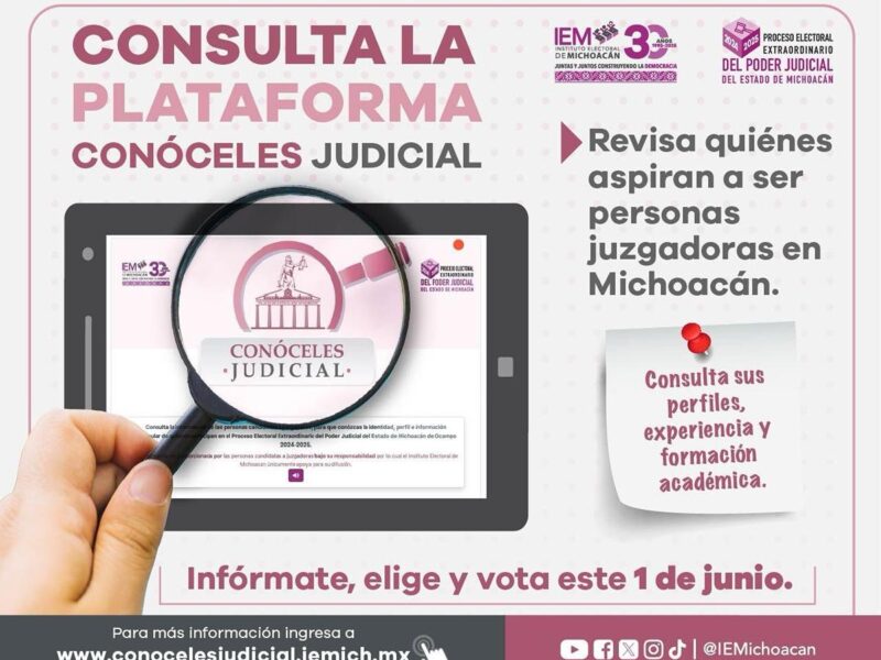 Consulta perfiles candidatos judiciales en Michoacán