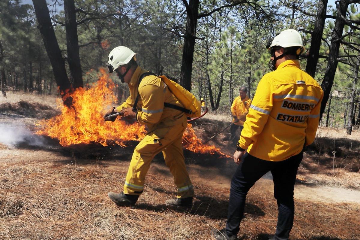 Controlado al 100 % el incendio forestal en Cojumatlán: Cofom
