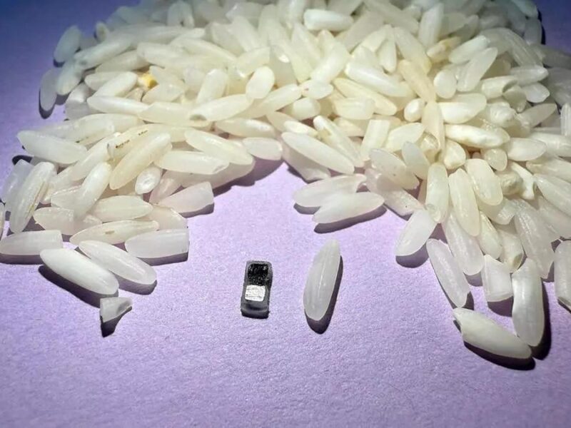 Crean marcapasos más pequeño que un grano de arroz