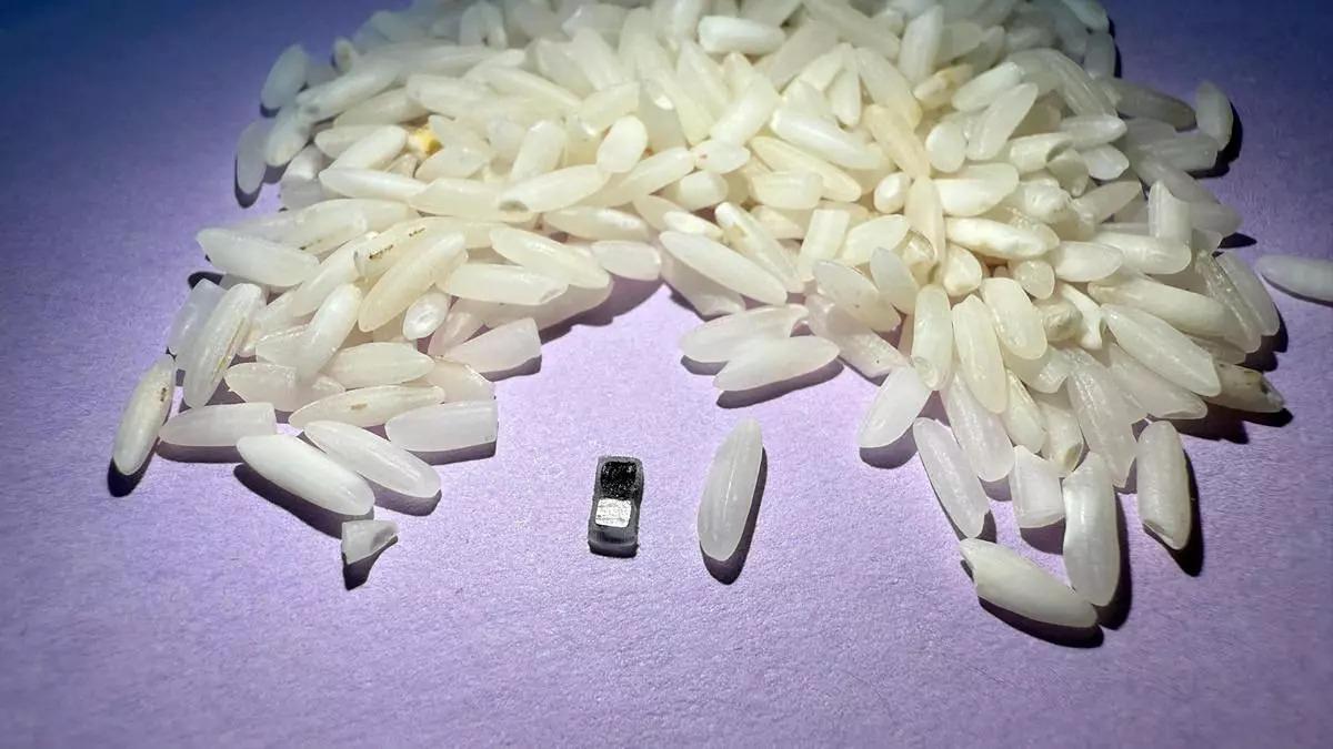 Crean marcapasos más pequeño que un grano de arroz