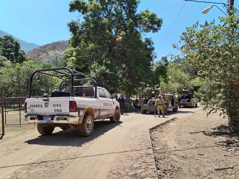 Desactivan cuatro minas terrestres en Chinicuila
