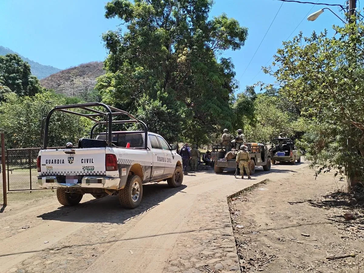 Desactivan cuatro minas terrestres en Chinicuila