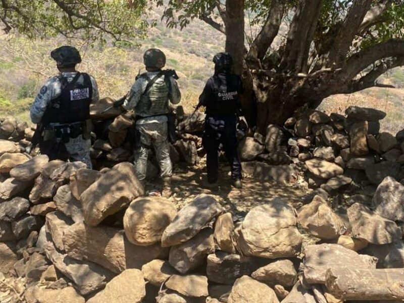 Desactivan explosivo y destruyen dos campamentos ilícitos en Parácuaro