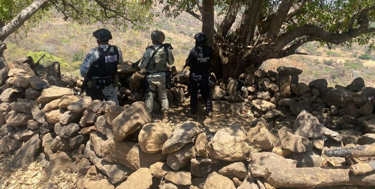 Desactivan explosivo y destruyen dos campamentos ilícitos en Parácuaro