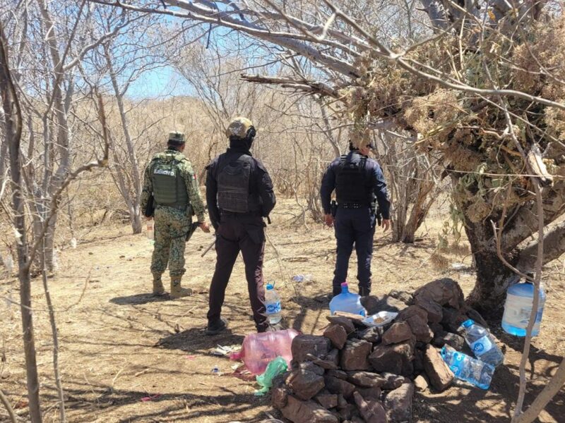 Desmantelan laboratorios de droga en Sinaloa y Michoacán