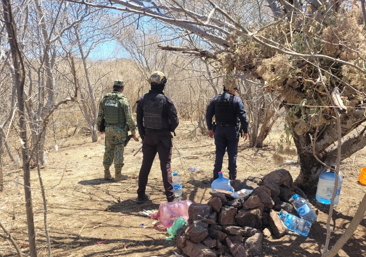 Desmantelan laboratorios de droga en Sinaloa y Michoacán
