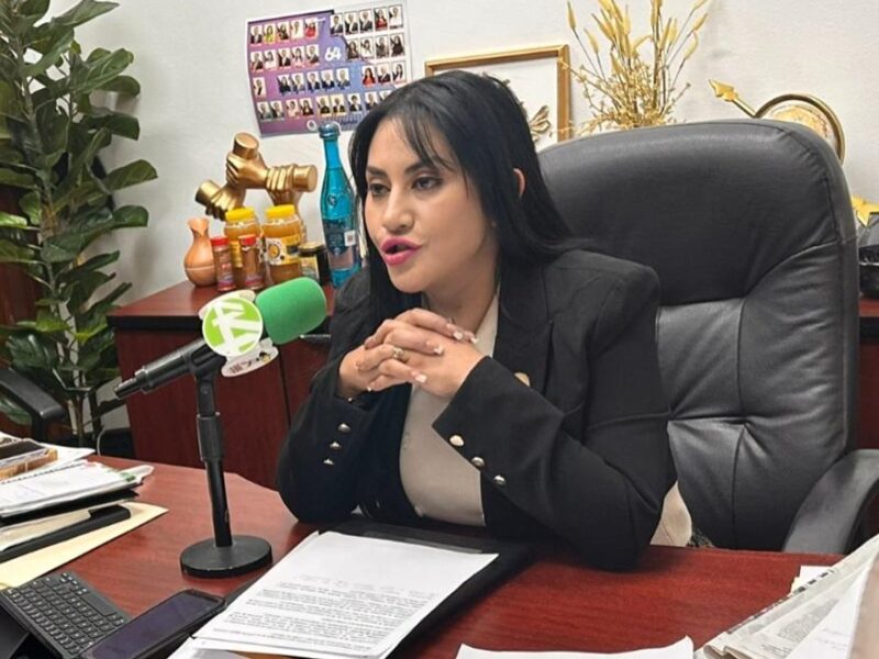 Diputada de Morena propone cárcel a quien cante o reproduzca narcocorridos