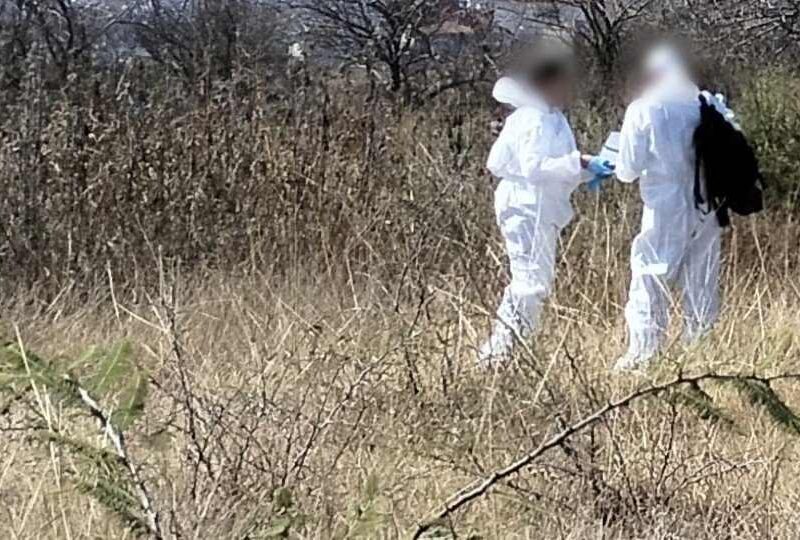 Encuentran a hombre putrefacto en un predio rústico de Zacapu