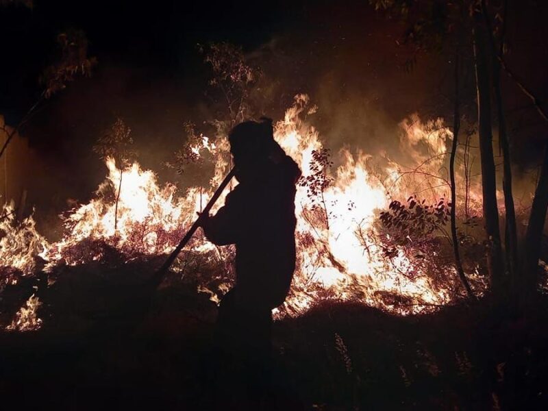 Extinguen brigadistas 4 de 13 incendios forestales en Michoacán