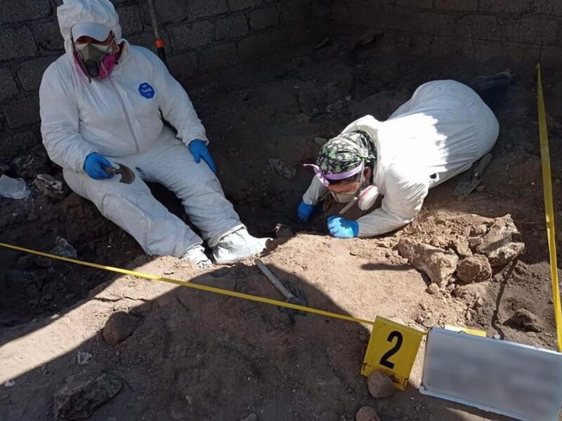 Fosas clandestinas fueron descubiertas en Colima