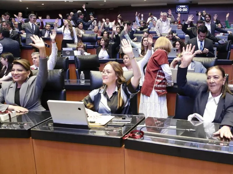Funcionarios de CFE, Pemex y SAT podrán portar armas, aprueba el Senado