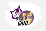 Conoce los resultados del Sorteo Gana Gato 2846 del 29 de abril de 2025 de la Lotería Nacional