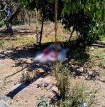 Encuentran a un hombre asesinado a balazos en predio agrícola de Aquila