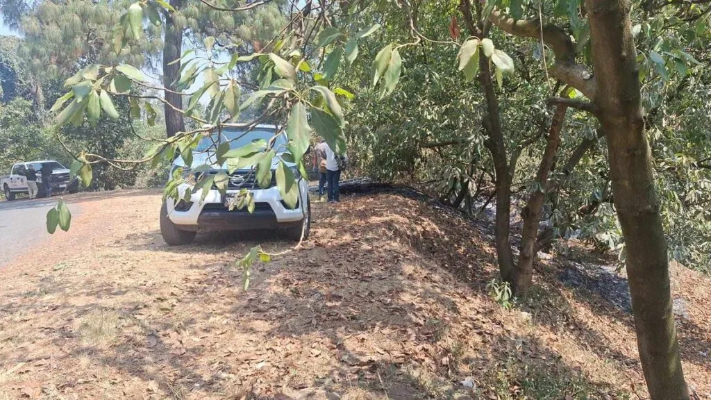 Hallan cadáver calcinado, en huerta de Peribán