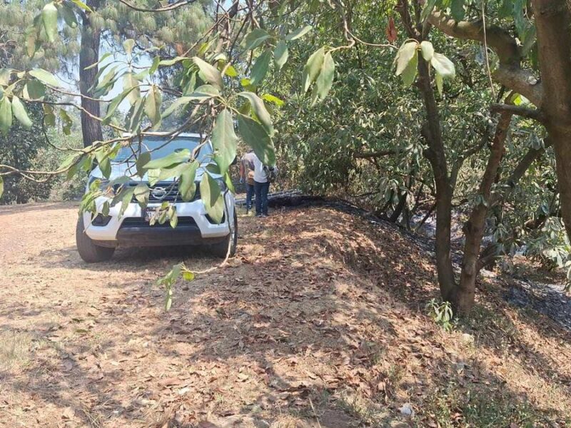 Hallan cadáver calcinado, en huerta de Peribán