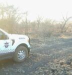 Hallan osamenta humana semienterrada en el municipio de Puruándiro