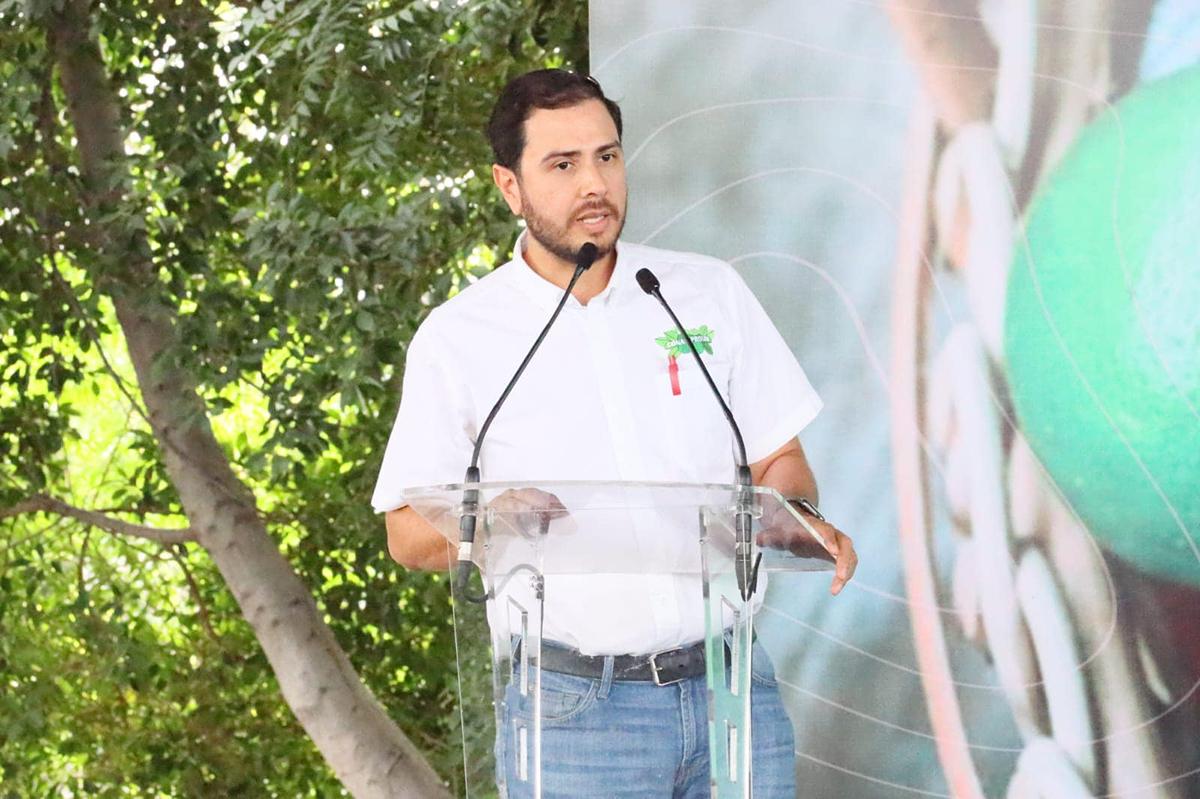 Hechos de violencia realidad del sector limonero en Michoacán: productor