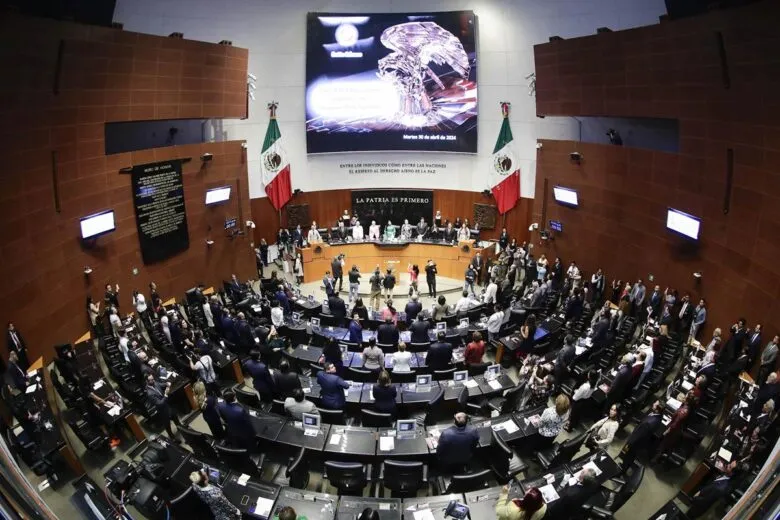Homenaje en el Senado en memoria del papa Francisco