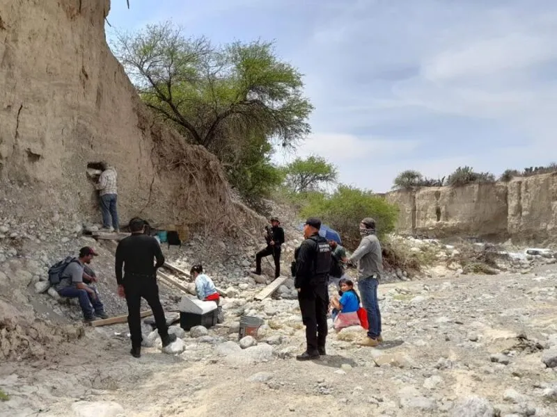 INAH investiga hallazgo de supuestos restos de un mamut en Tamaulipas