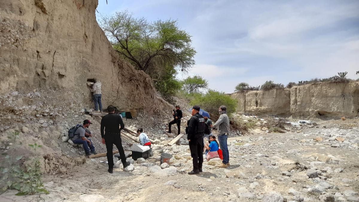 INAH investiga hallazgo de supuestos restos de un mamut en Tamaulipas
