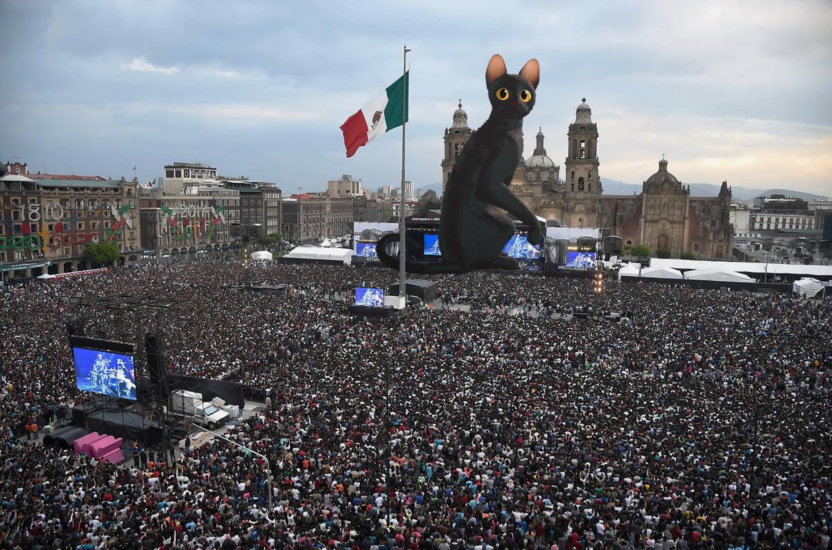 La película de Flow se proyectará gratis en el Zócalo de CDMX por el Día del Niño