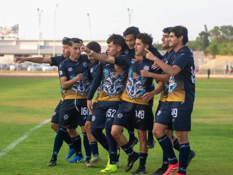 Los Zorros de la Universidad Michoacana cierran con triunfo la fase regular en la Liga TDP