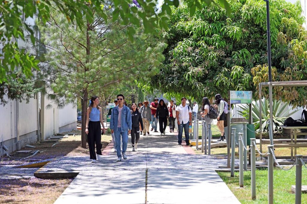 Más de 23 mil registros para ingreso a UMSNH, destacando 5 carreras con mayor demanda en la universidad.