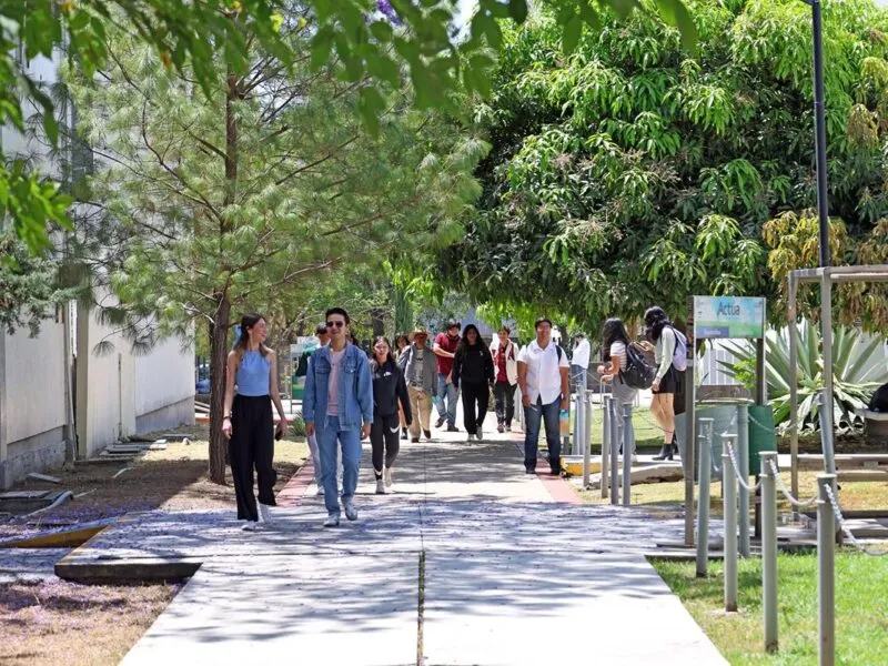 Más de 23 mil registros para ingreso a UMSNH, destacando 5 carreras con mayor demanda en la universidad.