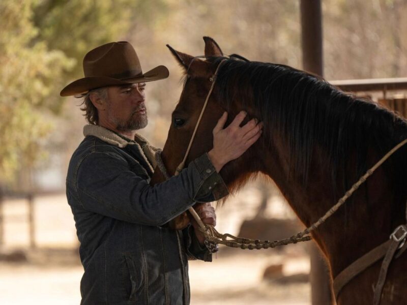 Nueva Vida en Ransom Canyon: estreno del western moderno para maratonear en Netflix 1